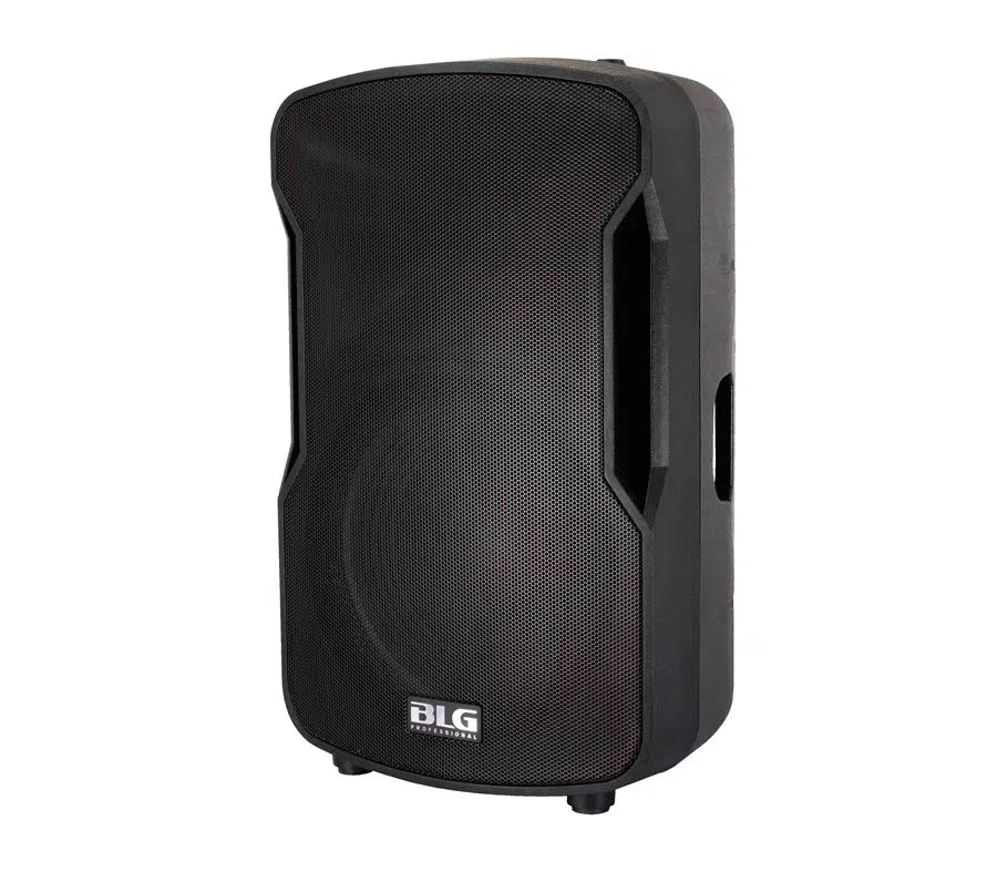 רמקול פאסיבי BLG Audio BP13-12 800W