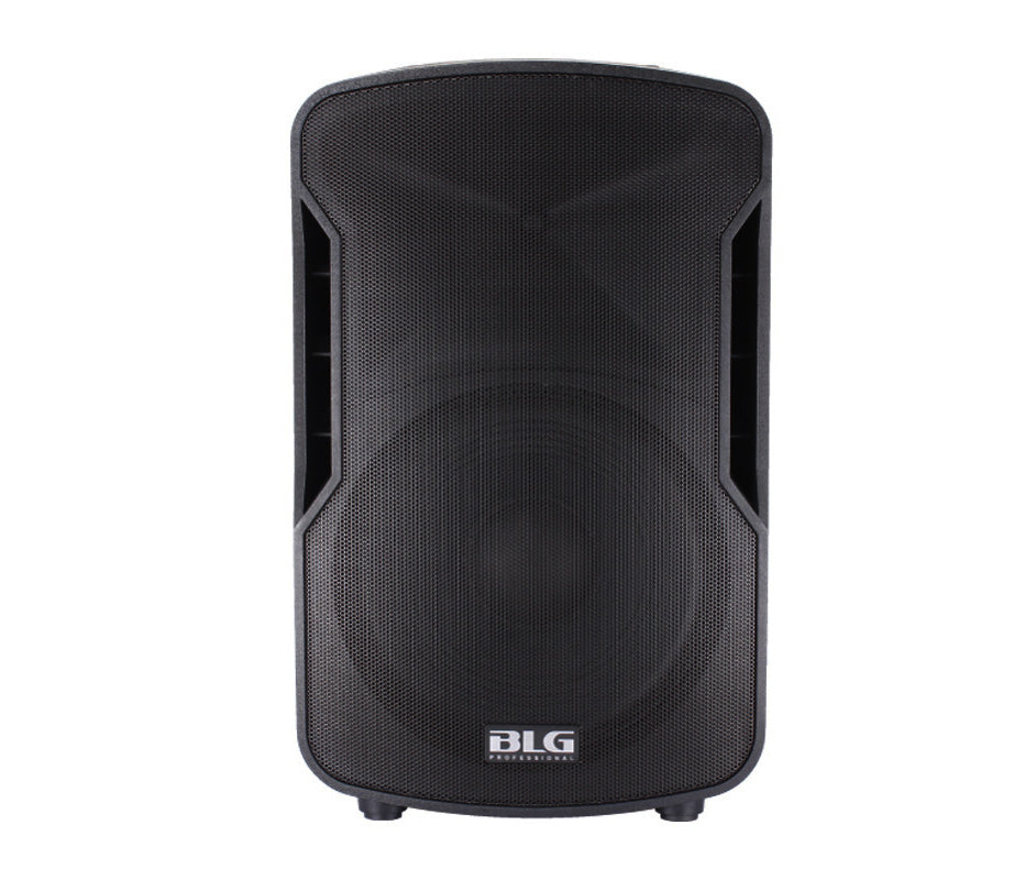 רמקול הגברה פאסיבי BLG Audio BP13-15 לבתי ספר אולמות ומוסדות