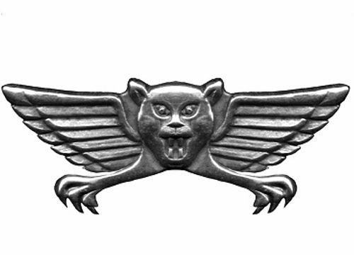 מכשיר הקלטה בתוך סיכה לבגדים