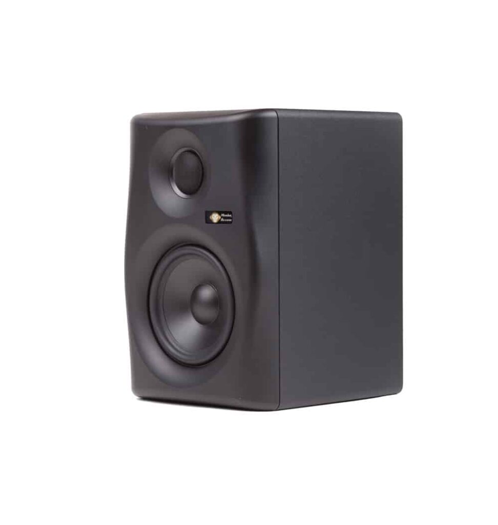 מוניטור אולפני 5″ שחור Monkey Banana Gibbon5