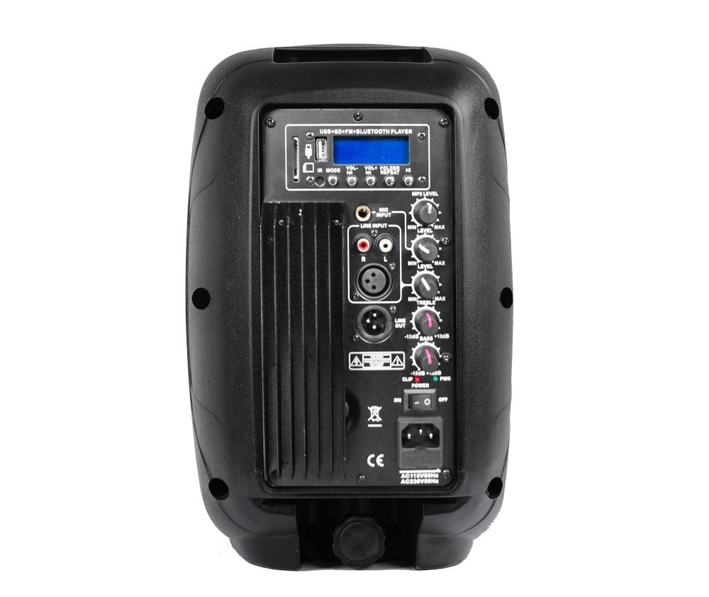 Polman PE-08A rear panel showing mic input XLR RCA USB and Bluetooth controls